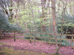 Front fence from Corfe Lodge Road